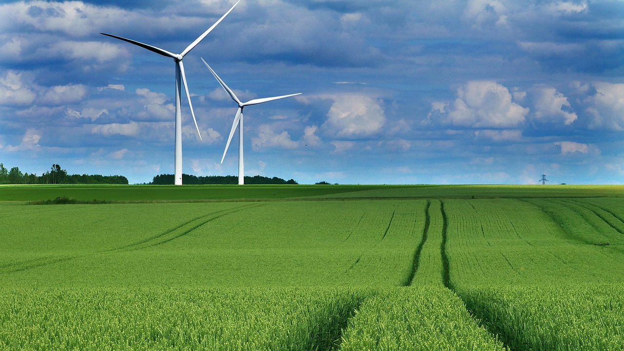 wind, ecology, environment, green, energy, nature, landscape, wheat, field, agriculture, countryside, wind turbine, wind turbine, wind turbine, wind turbine, wind turbine, wind turbine